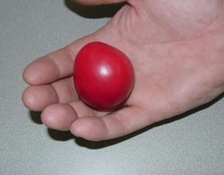 7 7